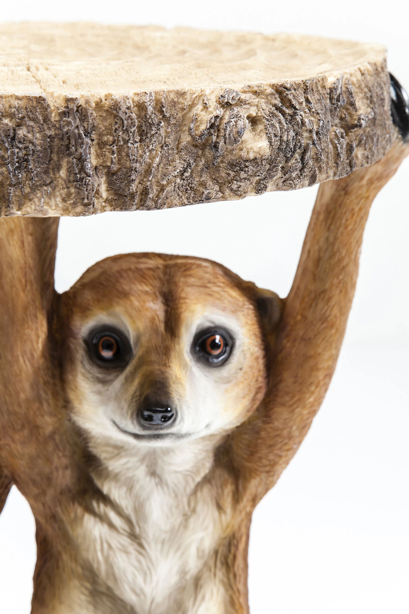 Beistelltisch Animal Meerkat Sisters Ø33cm 12 Beistelltisch Animal Meerkat Sisters Ø33cm – Bild 10