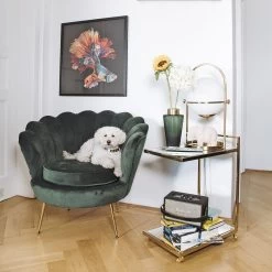 Sessel Water Lily Dunkelgrün 28 Sessel Water Lily Dunkelgrün -Bestes Möbelkollektions Geschäft 33e388b61baf4e8080c64d9f414b2da56760da26