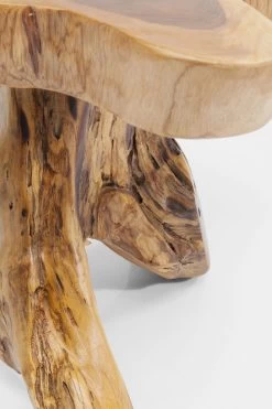 Beistelltisch Tree Groß Nature -Bestes Möbelkollektions Geschäft 37b160a2ff7e3eec46d93e45cc44e2e46cb4f644