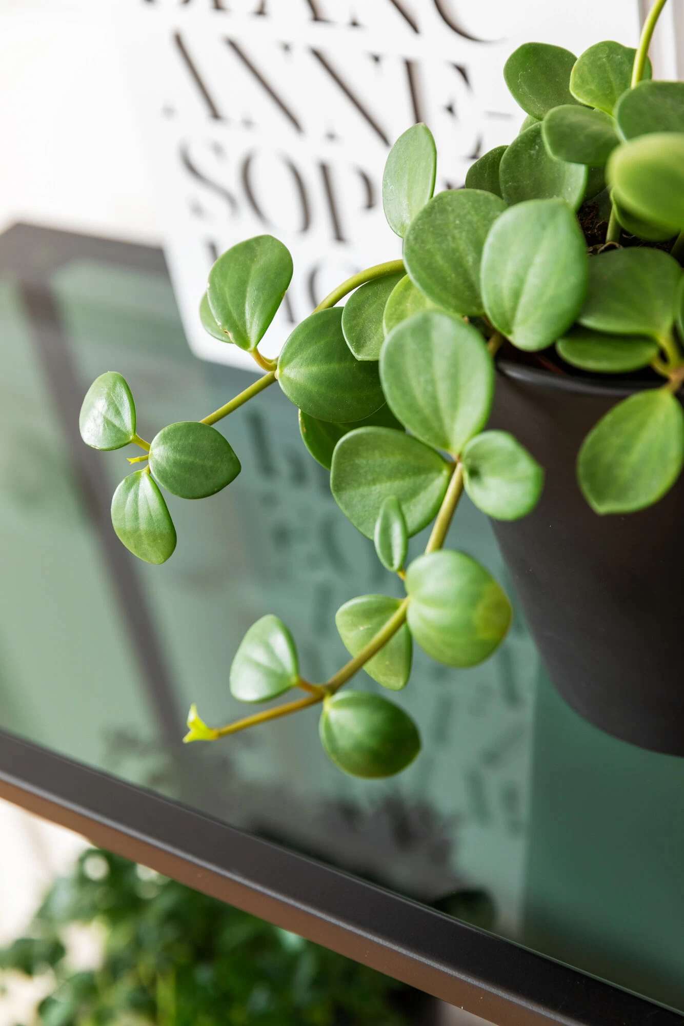 Regal Loft Schwarz 115x195cm 15 Regal Loft Schwarz 115x195cm – Bild 13