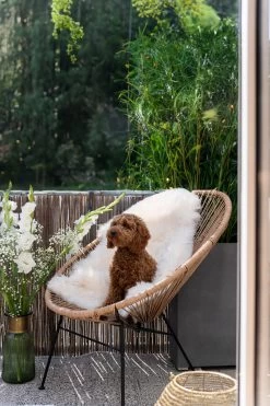 Sessel Spaghetti Natur -Bestes Möbelkollektions Geschäft 56fc7035c872880cba9215049f1fbba4703f9d06