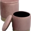 Hocker Cherry Storage Rose Brass (2/Set) 2 Hocker Cherry Storage Rose Brass (2/Set) -Bestes Möbelkollektions Geschäft 65453f569e937fee2c90b8fea4d5f5d458c9b769