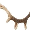 Wandgarderobe Antler Nature 35cm 1 Wandgarderobe Antler Nature 35cm -Bestes Möbelkollektions Geschäft 663384f2038f013a414fe75e42a81473411b480f