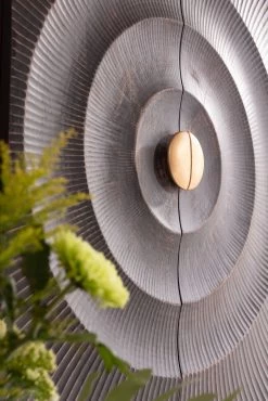 Schrank Madeira Dunkel 76x140cm -Bestes Möbelkollektions Geschäft 6a5eb009045bc53c58eb039c3c911dc4f5ac4887