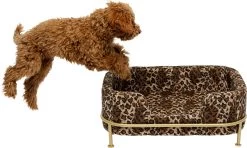 Hund/Katzenbett Diva Leo -Bestes Möbelkollektions Geschäft 7d3bf34e5b6bf97d53f9cbe64d9b2fd11c2f7306