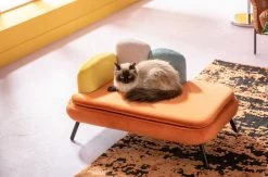 Hund/Katzenbett Diva Orange 18 Hund/Katzenbett Diva Orange -Bestes Möbelkollektions Geschäft 80b956f7934d900e2337239e55089bc2745dd110