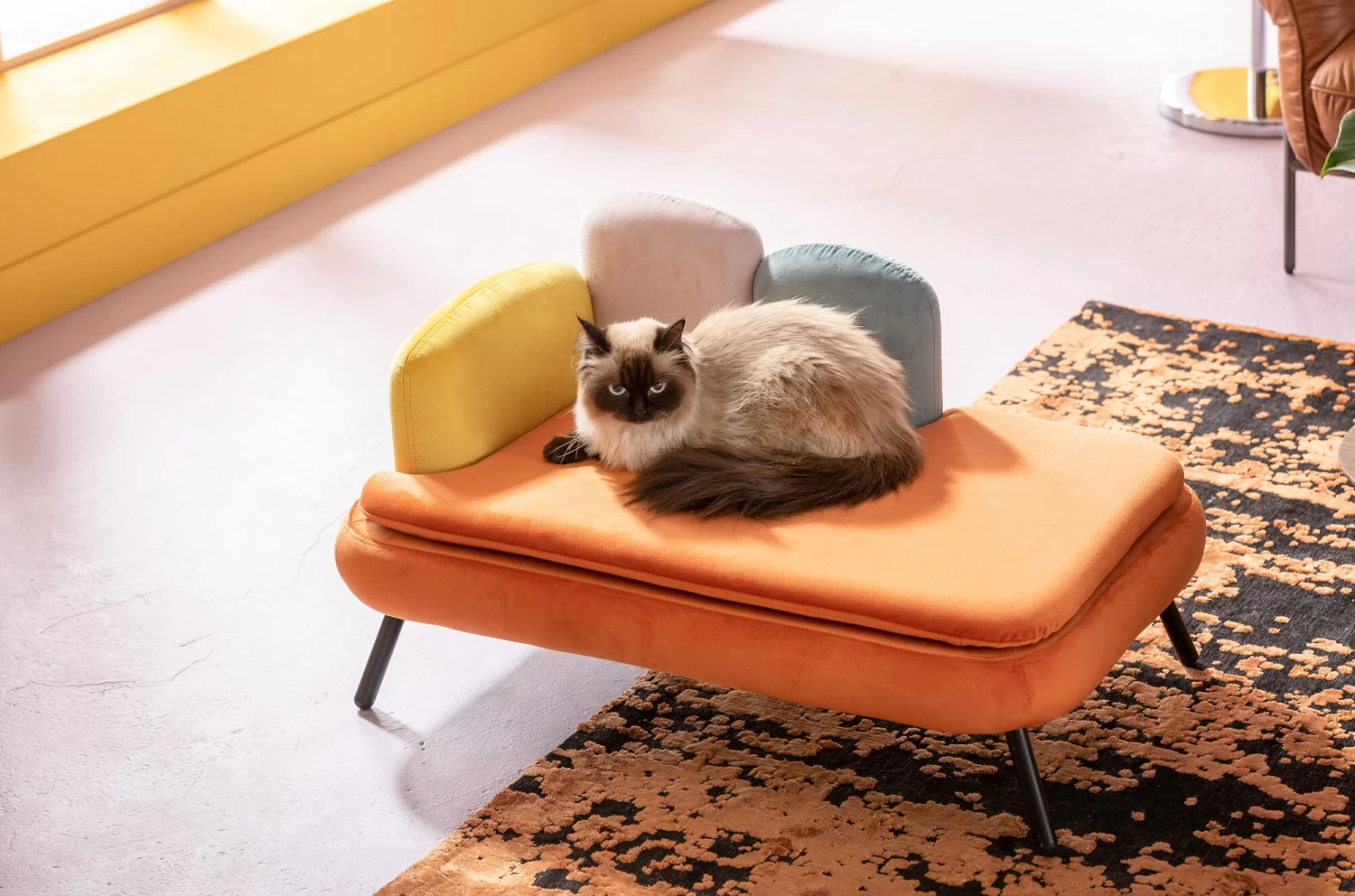 Hund/Katzenbett Diva Orange 6 Hund/Katzenbett Diva Orange – Bild 4