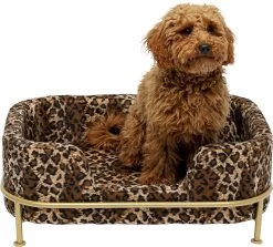 Hund/Katzenbett Diva Leo -Bestes Möbelkollektions Geschäft 8417576416ce9d8ebb0da7809896d39c27e1f521