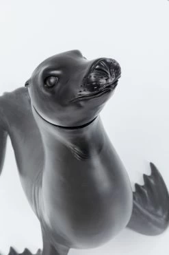 Beistelltisch Sea Lion Ø50cm 24 Beistelltisch Sea Lion Ø50cm -Bestes Möbelkollektions Geschäft 85c8fe2335ceae00ff8f0fe4f5c140507e40b3d1