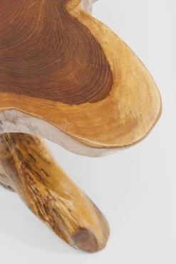 Beistelltisch Tree Groß Nature -Bestes Möbelkollektions Geschäft 9ac1ed0fc7d2916aa800089eb584189e5dfd625c