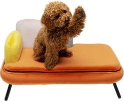 Hund/Katzenbett Diva Orange 27 Hund/Katzenbett Diva Orange -Bestes Möbelkollektions Geschäft a0ebb480dd1f0d304afe3ada681cd270956f70b1