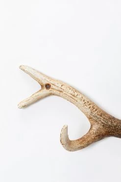 Wandgarderobe Antler Nature 35cm 10 Wandgarderobe Antler Nature 35cm -Bestes Möbelkollektions Geschäft a614b1849e6443acc1a85e4e02f4d966d4c0751f