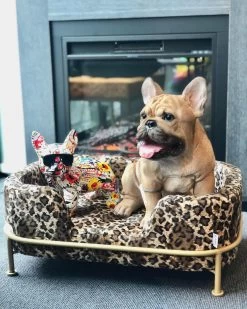 Hund/Katzenbett Diva Leo -Bestes Möbelkollektions Geschäft aae0e723ea4a4bfad2abbcb980033449bb35679b