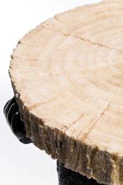 Beistelltisch Animal Bear Ø33cm 19 Beistelltisch Animal Bear Ø33cm -Bestes Möbelkollektions Geschäft b8df464645fd5d61e16889850e7db19179ae320b