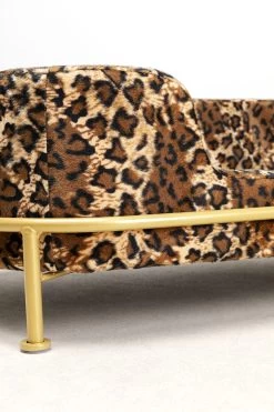 Hund/Katzenbett Diva Leo -Bestes Möbelkollektions Geschäft ba37294a1e564b0aa0d35aef0e127edd48f7012a