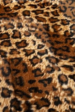 Hund/Katzenbett Diva Leo -Bestes Möbelkollektions Geschäft c1b1a1df77397acb3032466cb58d695a2cd88046