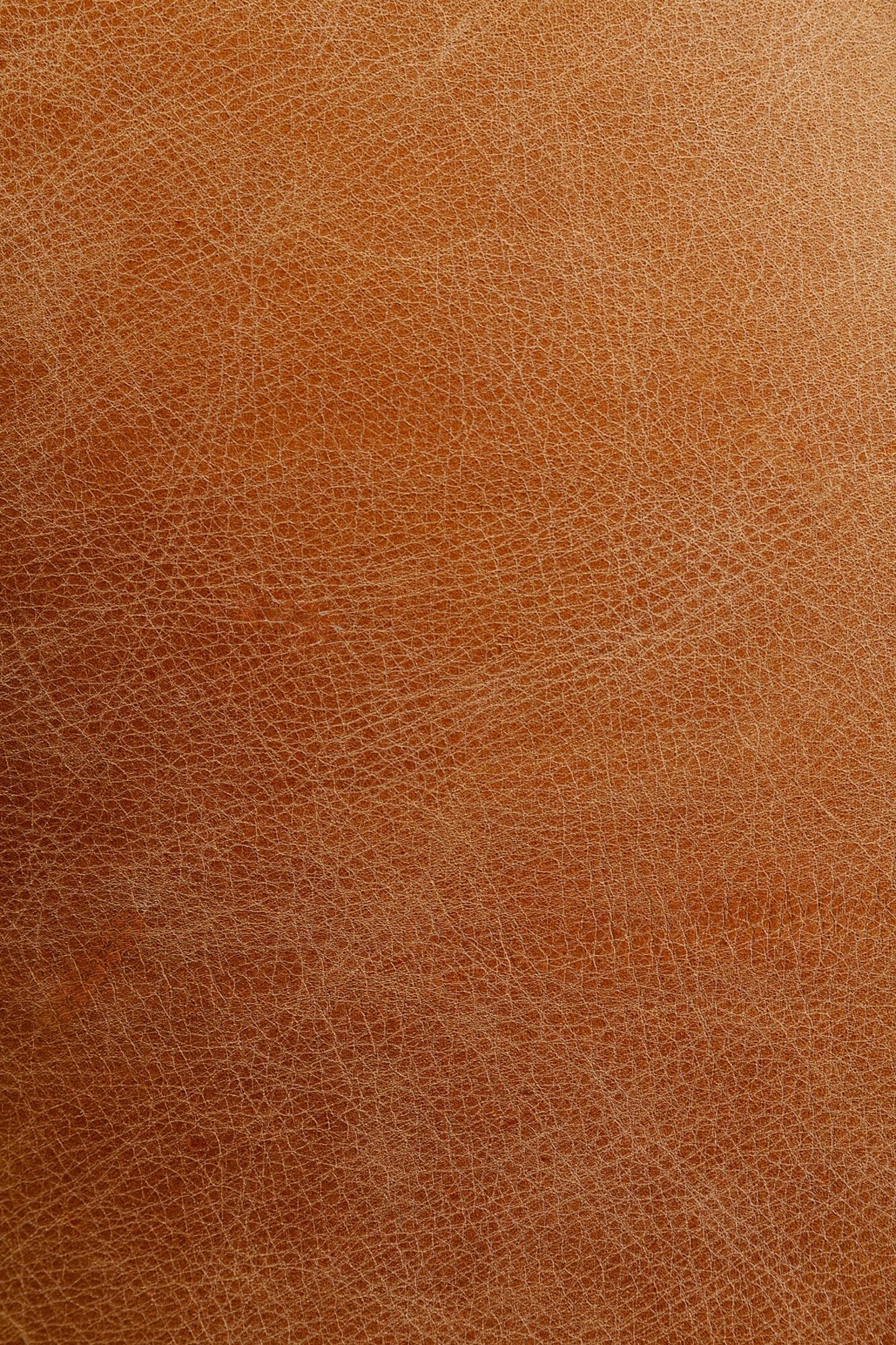 Drehsessel Jette 9 Drehsessel Jette – Bild 7