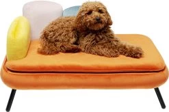 Hund/Katzenbett Diva Orange 19 Hund/Katzenbett Diva Orange -Bestes Möbelkollektions Geschäft d17c092451530b7178f49b26b3d19431990ab40b