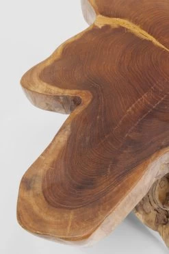 Beistelltisch Tree Groß Nature -Bestes Möbelkollektions Geschäft d5058cdd2fe2753ab29aa50a34b1c5c3469779ac