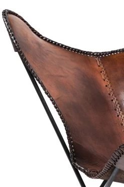 Sessel Butterfly Brown Econo -Bestes Möbelkollektions Geschäft dd98f88986a5a3f882395ee5cabc3ab5dbb0c999