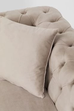 Sofa Bellissima 2-Sitzer Velvet Beige 200cm -Bestes Möbelkollektions Geschäft e052e7d5e5b86a29f3eb189614d3054bb84aa57c