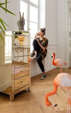 Hochkommode Luxury Pearl 5 Schübe 34 Hochkommode Luxury Pearl 5 Schübe -Bestes Möbelkollektions Geschäft e574e9b43209fe19074b9946b96235a3b3f80737